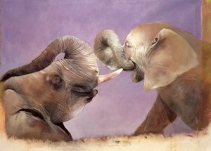 Elephants at Play, 2001 (akryl na płótnie) autorstwa Odile Kidd