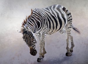 Equus burchelli 2, 2010 (akryl na płótnie) autorstwa Odile Kidd