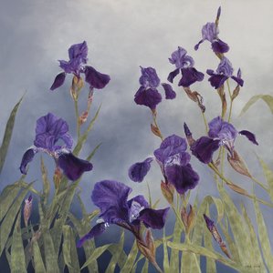 Iris hybrida, 2015 (akryl na drewnie pokrytym gesso)