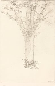 Drzewo autorstwa Odilon Redon