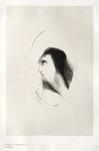 Nawiedzony dom: szerokość i płaskość kości czołowej, 1896. autorstwa Odilon Redon