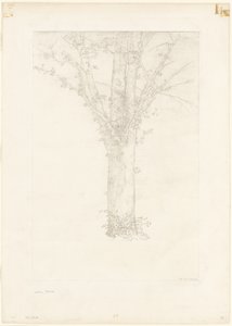 Drzewo autorstwa Odilon Redon