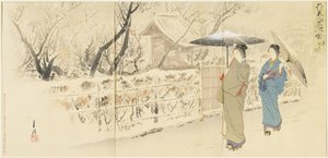 Garyo_bai Plum in Kameido, December 1895 autorstwa Ogata Gekko