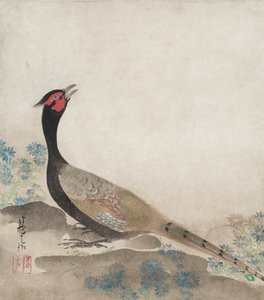  autorstwa Ogata Korin