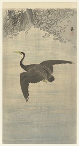 kormoran w locie autorstwa Ohara Koson