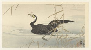 Kormoran z rybą autorstwa Ohara Koson