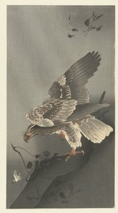 Orzeł czai się na zdobycz autorstwa Ohara Koson
