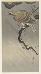 orzeł na gałęzi autorstwa Ohara Koson