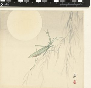 Modliszka autorstwa Ohara Koson