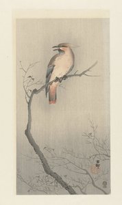 Czeska jemiołuszka na gałęzi autorstwa Ohara Koson