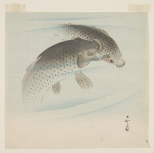 Karp (Koi) (kolorowy drzeworyt) autorstwa Ohara Koson