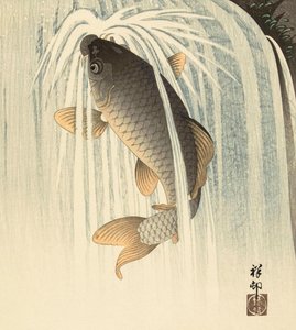 Karp pod wodospadem, japońska artystka Ohara Koson autorstwa Ohara Koson
