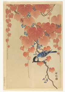 Coal Tit jest oddziałem Paulowni autorstwa Ohara Koson