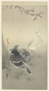 Trzy oswojone gołębie autorstwa Ohara Koson