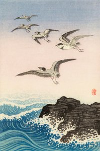 Pięć mew nad skałą w morzu, XX wiek (druk japoński) autorstwa Ohara Koson