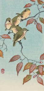 Pięć małych ptaków na gałązce autorstwa japońskiej artystki Ohary Koson autorstwa Ohara Koson
