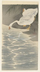 Gęsi na brzegu autorstwa Ohara Koson