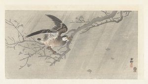 Szary szpak w burzy autorstwa Ohara Koson
