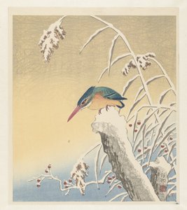 Zimorodek na śniegu autorstwa Ohara Koson