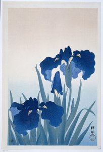 Irysy autorstwa Ohara Koson