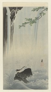 Pliszka japońska przy wodospadzie autorstwa Ohara Koson