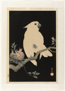 Kakadu z granatem autorstwa Ohara Koson