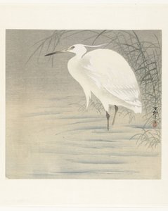 Mała Czapla autorstwa Ohara Koson
