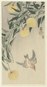 Kukułka w deszczu autorstwa Ohara Koson