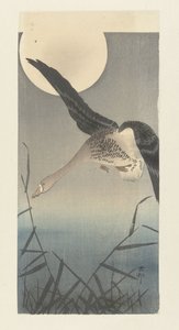 Gęś białoczelna w pełni księżyca autorstwa Ohara Koson
