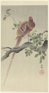 coperfazant autorstwa Ohara Koson