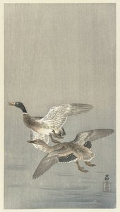 Para kaczek autorstwa Ohara Koson