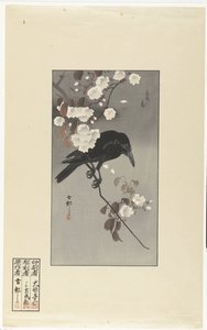 Wrona i kwiat wiśni Hana sakura no tori (tytuł na obiekcie) autorstwa Ohara Koson