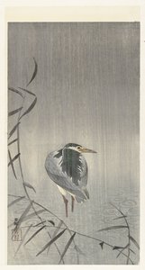 Kwak w deszczu autorstwa Ohara Koson