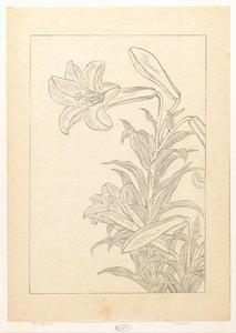 Lelie autorstwa Ohara Koson
