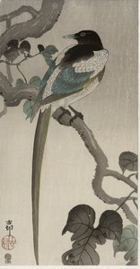 Sroka na gałęzi Pauwolnej (kolorowy drzeworyt) autorstwa Ohara Koson