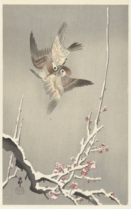 Wróble i ośnieżona śliwa autorstwa Ohara Koson