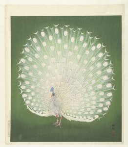 Paw autorstwa Ohara Koson
