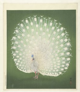 Paw autorstwa Ohara Koson