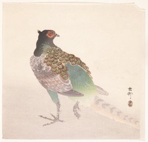Bażant (drzeworyt kolorowy) autorstwa Ohara Koson