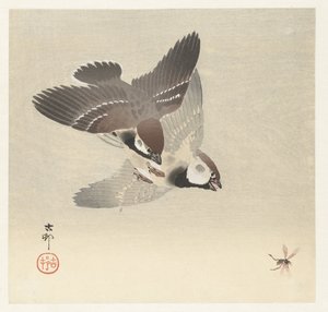 Wróble i owady autorstwa Ohara Koson