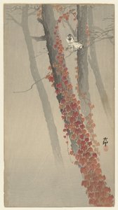 czerwony bluszcz autorstwa Ohara Koson