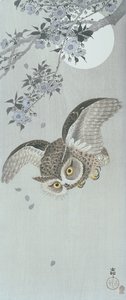 Łyżka sowa w locie z kwiatem i pełnią księżyca (kolorowy drzeworyt) autorstwa Ohara Koson