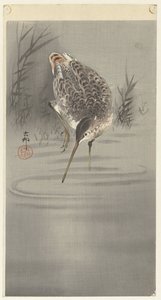 Ciepnij w wodzie autorstwa Ohara Koson