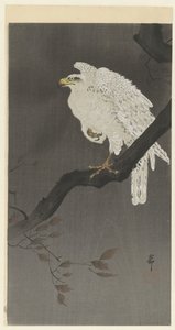 Orzeł śnieżny na gałęzi autorstwa Ohara Koson