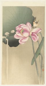 Ptak śpiewający i Lotos autorstwa Ohara Koson