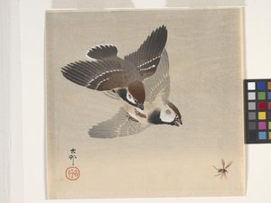 Wróble w pogoni za latającym owadem (drzeworyt kolorowy) autorstwa Ohara Koson