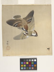 Wróble goniące latające owady (tusz i kolor na jedwabiu) autorstwa Ohara Koson