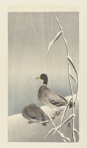 Dwie kaczki na ośnieżonej trzcinie autorstwa Ohara Koson