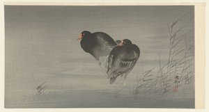 Dwa Kokosy autorstwa Ohara Koson