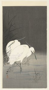 Dwie czaple w trzcinach autorstwa Ohara Koson